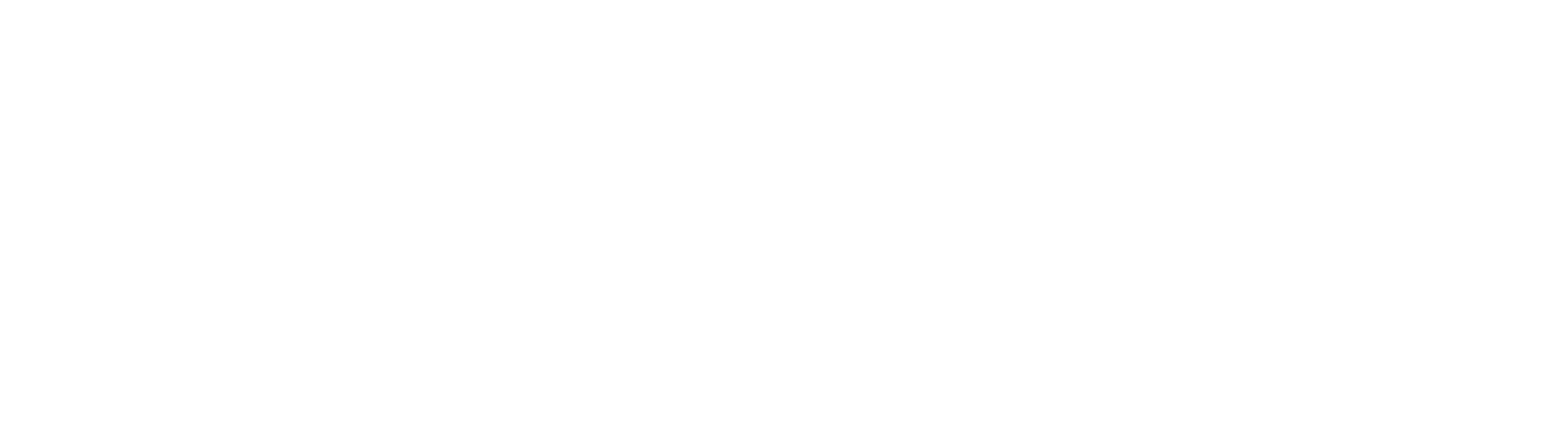 VOODOORIDE ロゴ